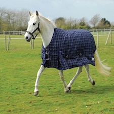 Rhinegold Zeus Outdoor Rug Blue | Colour: Blue Check
Size: 4ft 6