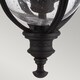 image 5 of English Bridle 3 Light Medium Outdoor Ceiling Chain Lantern Black, E14