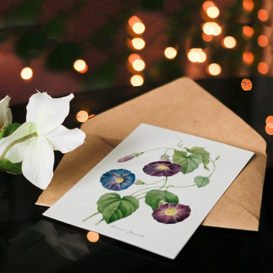 image 1 of Pierre-Joseph Redouté Art Card Morning Glory Vintage Floral