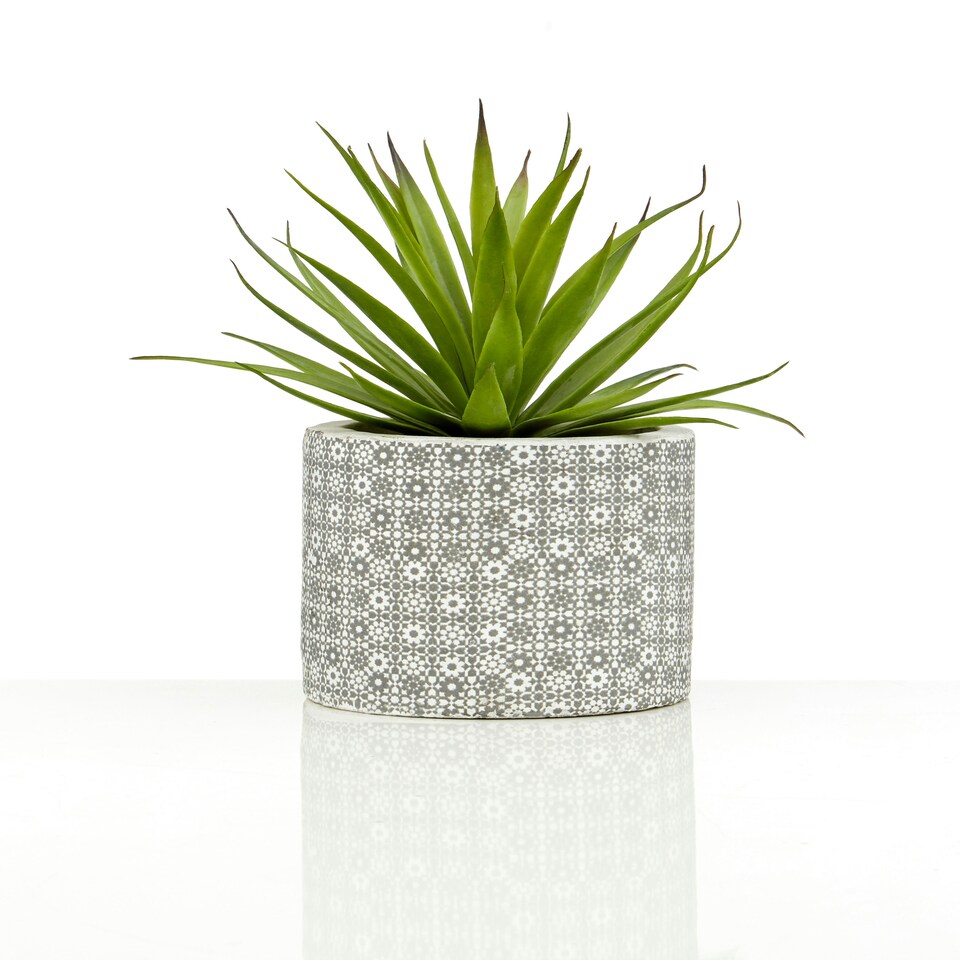 image 1 of Fiori Set of 3 Succulents in Henna Ceramic Pots