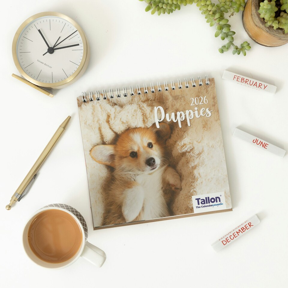 image 1 of 2026 Desk Calendar Puppies Design