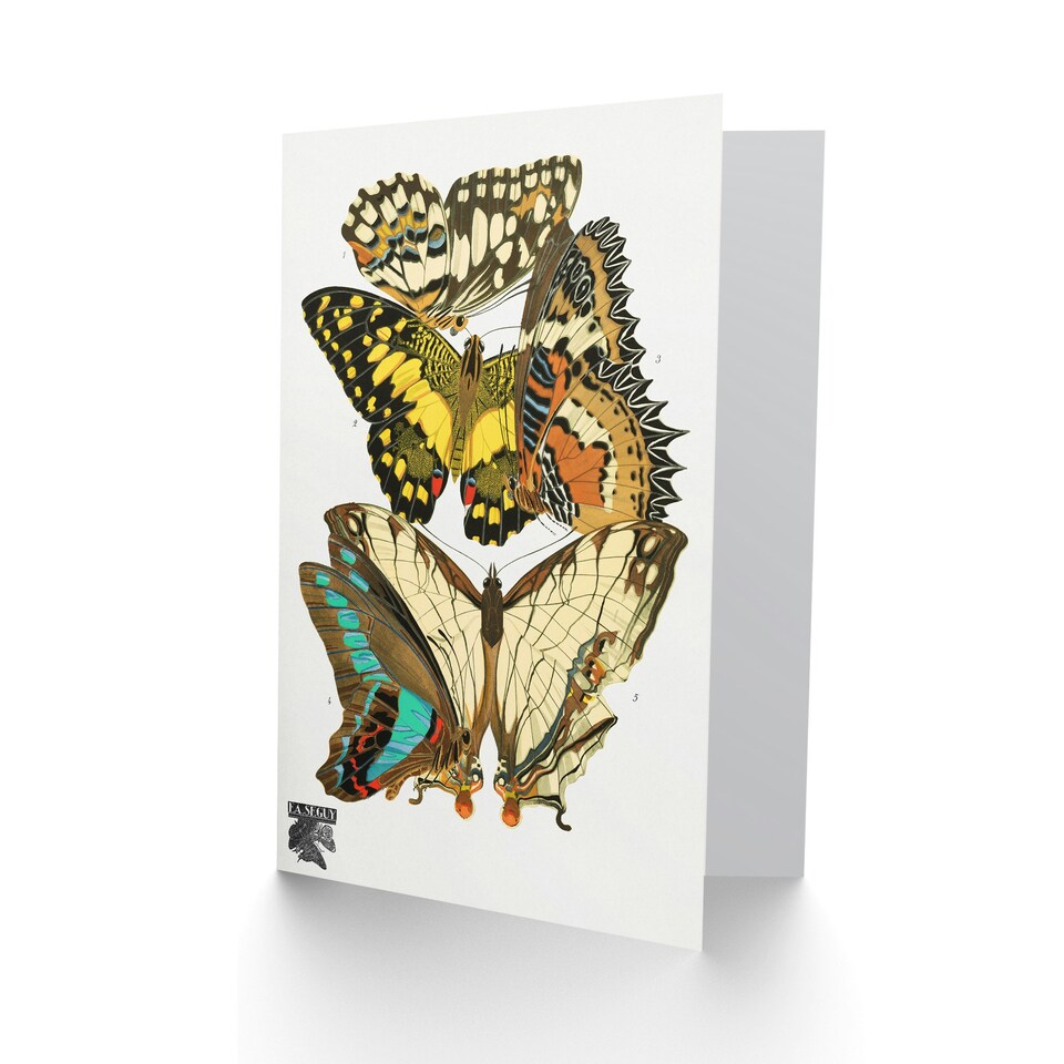 image 1 of Eugene Seguy Art Card Papillons Butterflies Illustration
