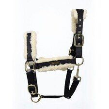 Coldstream Langlee Luxury Horse Headcollar and Leadrope - Navy - Full