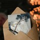 image 3 of Ohara Koson Art Card Yellow Crested Cockatoo In Tree