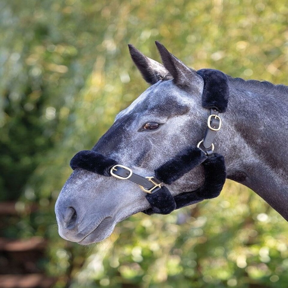 image 1 of Shires Performance Supafleece Halter Fleeces Black | Size: 6Pc
Colour: Black