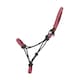image 1 of Hy Double Braided Rope Halter - Pink - One Size