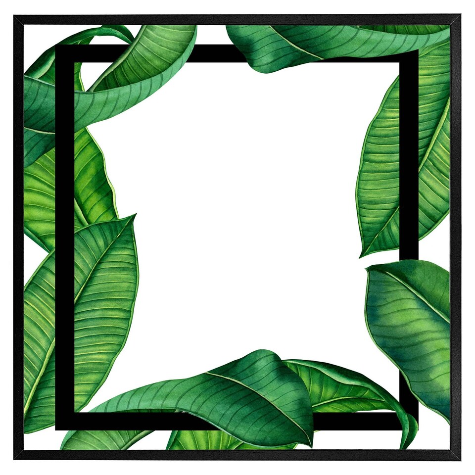 image 1 of Botanical & black border (Picture Frame) Black | XS
