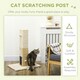 image 2 of PawHut 79cm Jute Scratcher Climber with Toy, Self Grooming Brush, Beige
