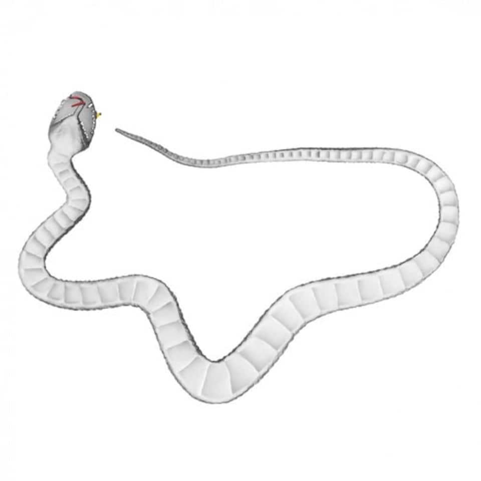 image 1 of Halloween Black Rubber Snake 75cm
