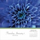 image 2 of Flowers Desk Calendar 2026, Desk Calendars, Day To View, Lifestyle, Gift