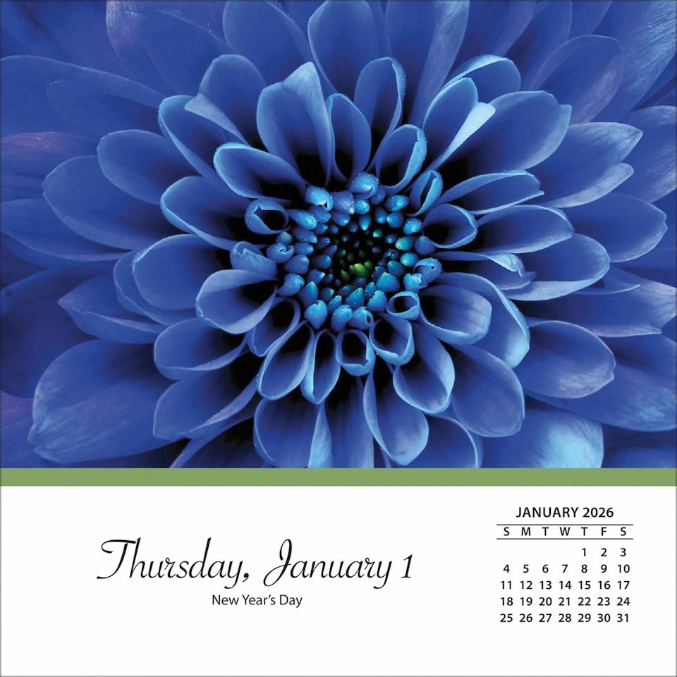 image 1 of Flowers Desk Calendar 2026, Desk Calendars, Day To View, Lifestyle, Gift