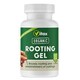 image 1 of Vitax Organic Rooting Gel 150ML