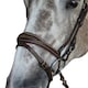 image 2 of Whitaker Leather Horse Flash Noseband - Havana - Pony