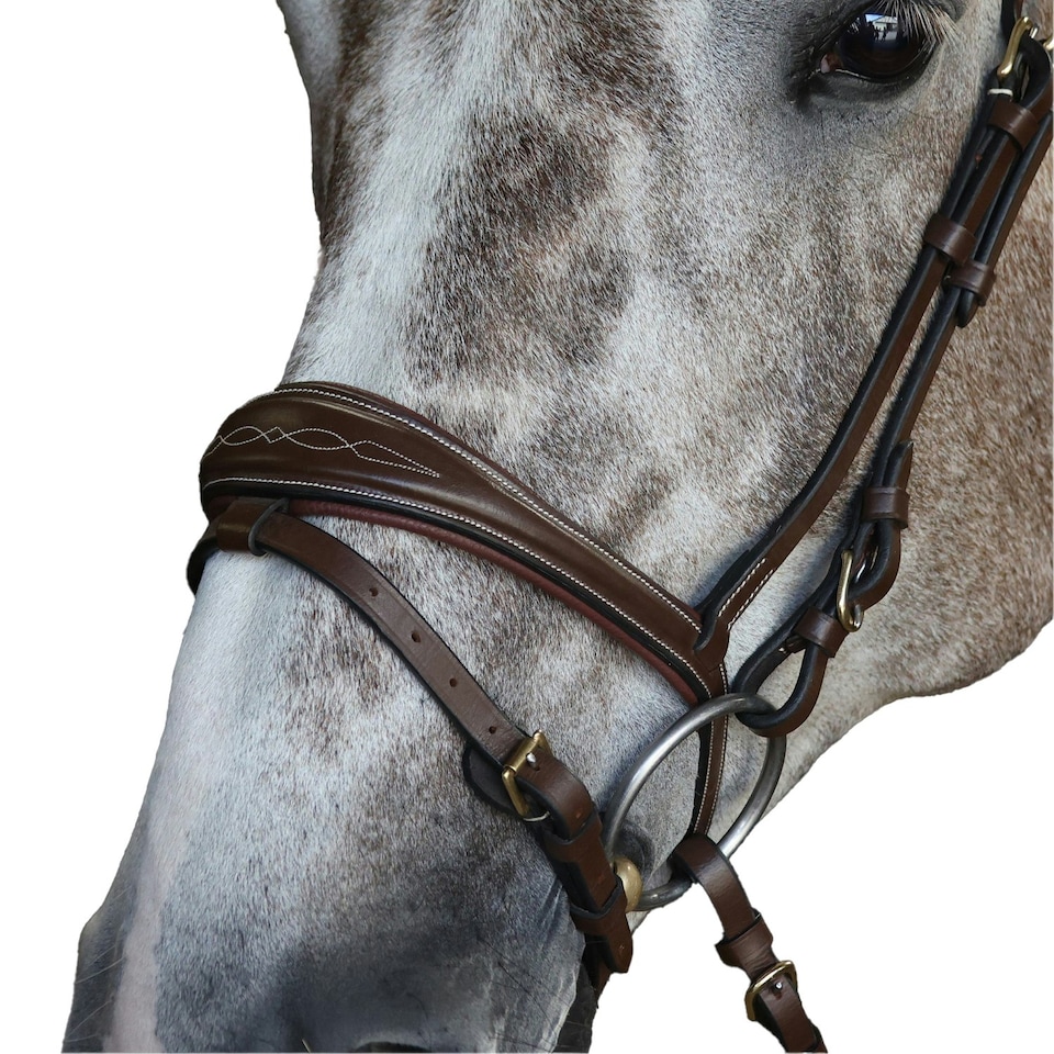 image 1 of Whitaker Leather Horse Flash Noseband - Havana - Pony
