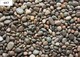 image 2 of Bulk Bag 20-30mm Highland Pebbles  850kg Decorative Garden Pebbles
