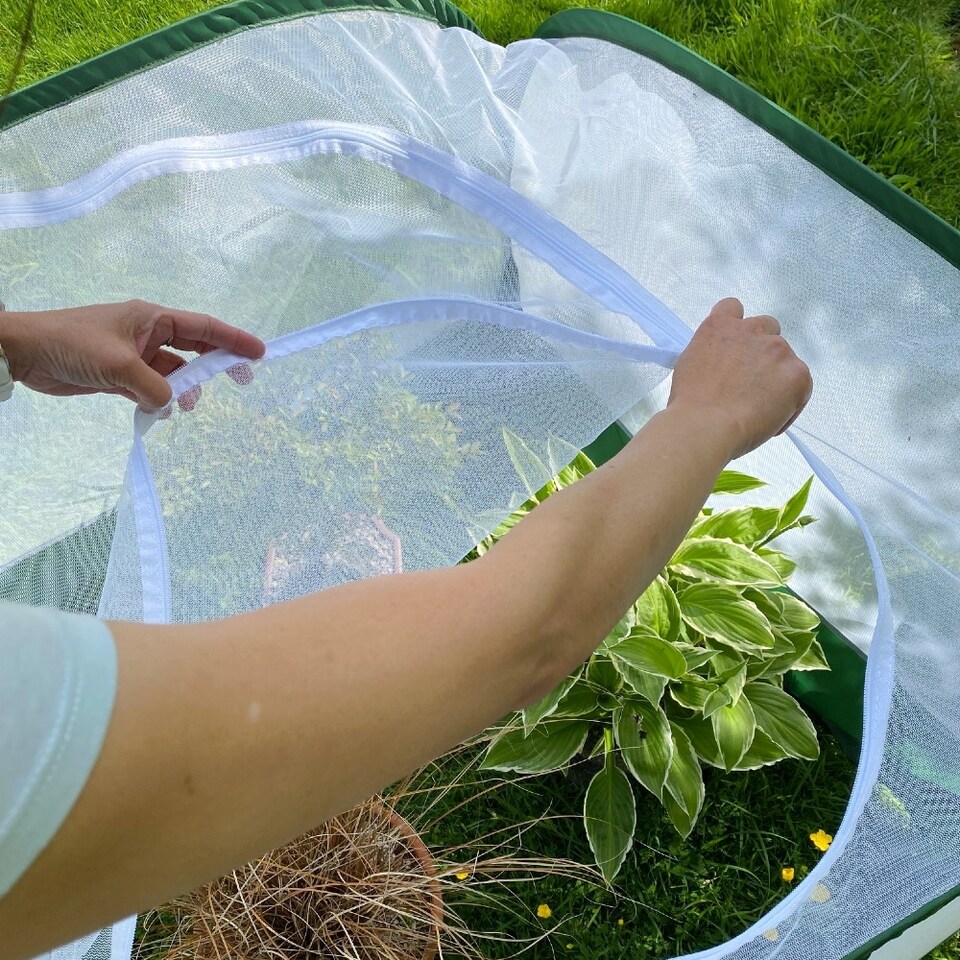 image 1 of GardenSkill Pop Up Insect Net Fruit Cage & Vegetable Protection Cover -  1 x 0.75m H