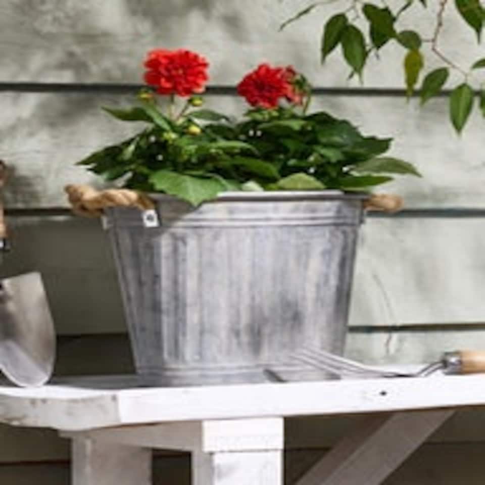 image 1 of Toma Medium Metal Planter with Handles Grey