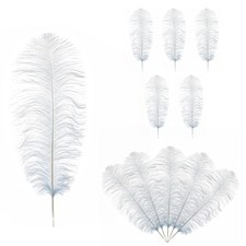50cm - 60cm Large Ostrich Feathers, Showgirl Spadones - 5pcs