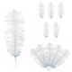 image 1 of 50cm - 60cm Large Ostrich Feathers, Showgirl Spadones - 5pcs