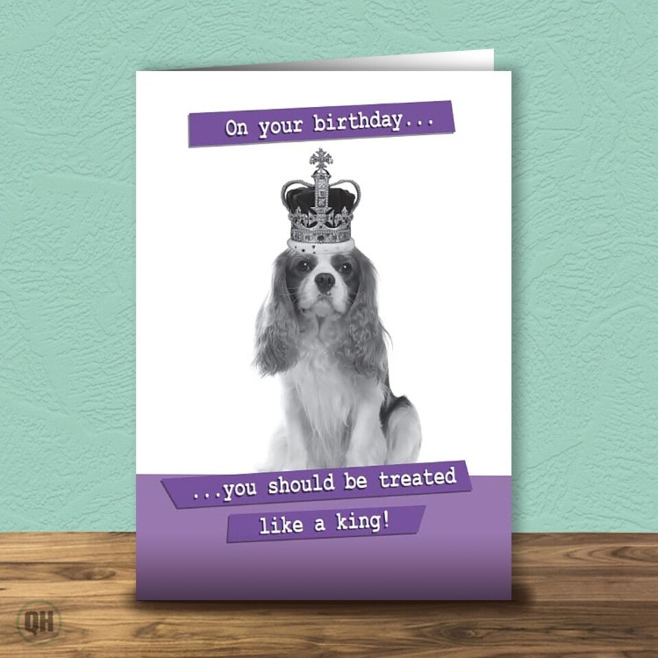 On Your Birthday You Should Be Treated Like A King Birthday Card
