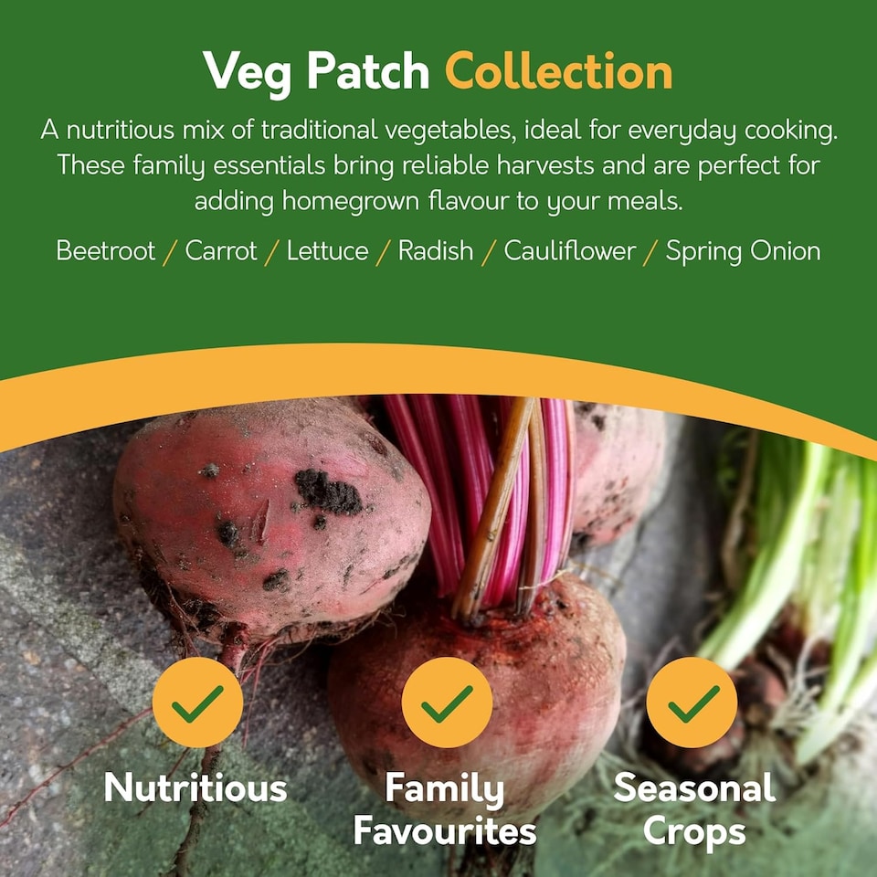 image 1 of Pronto Seed Vegetable Seeds Bumper Pack - 21 Popular Varieties, Over 1,700 Seeds for Growing Your Own Veg