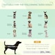image 5 of PawHut Pet Puppy Raised Bed Cot Dog Cat Elevated Cots Trampoline Indoor Outdoor