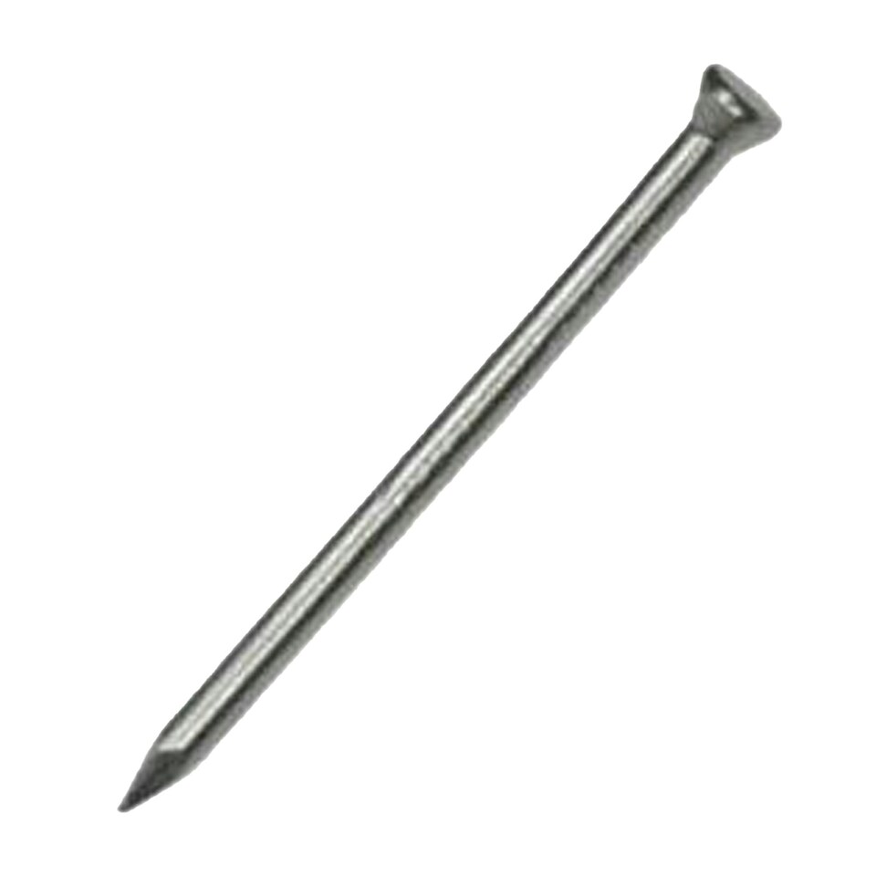 Securpak Pointed Panel Pin Nails - Silver - 25mm