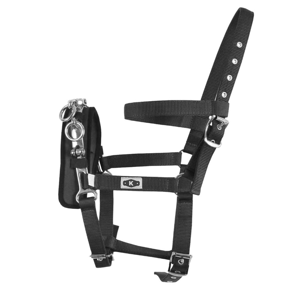 image 1 of Kincade Coordinate Lunge Cavesson - Black - Cob