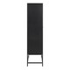 image 3 of Newcastle 2 Door Cabinet in Matt Black