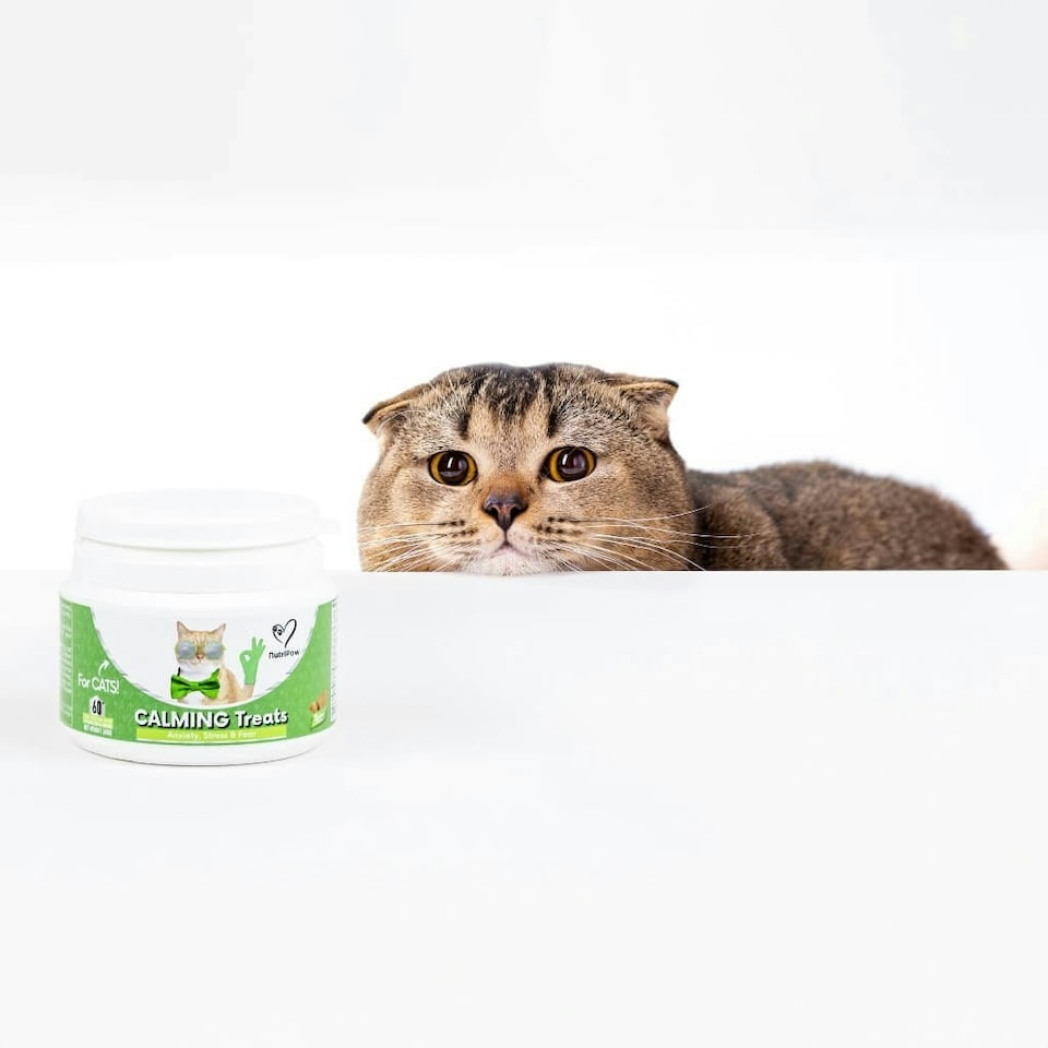 image 1 of Calming Chew for Cats