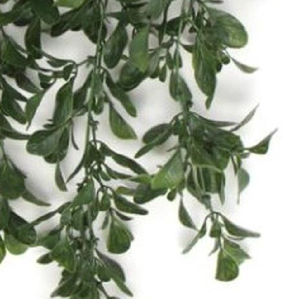 image 1 of Hanging UV and Fire Resistant Artificial Peperomia Plant 68cm