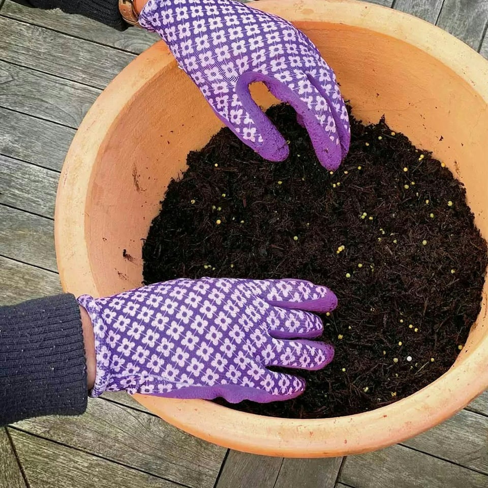 image 1 of Miracle-Gro® All Purpose Continuous Release Plant Food