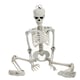 image 3 of Living and Home Halloween Realistic Full Body Skeleton  Posable Prop - 90cm