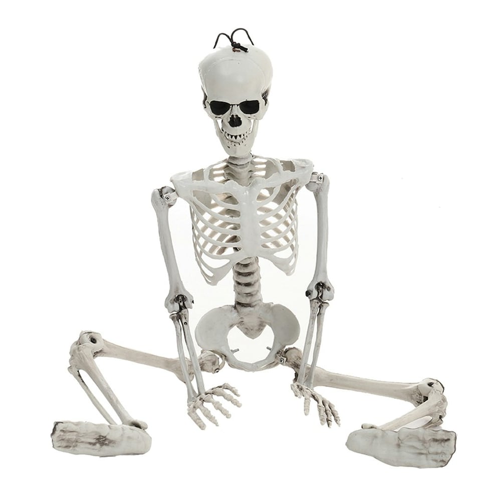 image 1 of Living and Home Halloween Realistic Full Body Skeleton  Posable Prop - 90cm