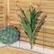 image 2 of Pack of 3 Tom Chambers Urban Dark Green Metal Herbaceous Garden Plant Support Grow Through Medium 50cm x 30cm