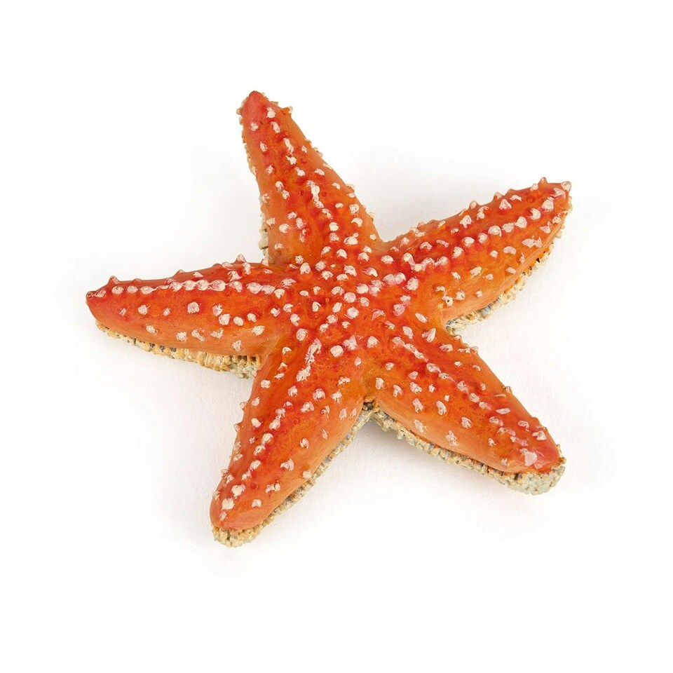 PAPO Marine Life Starfish Toy Figure