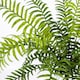 image 2 of 50cm Artificial Boston Fronded Fern Plant