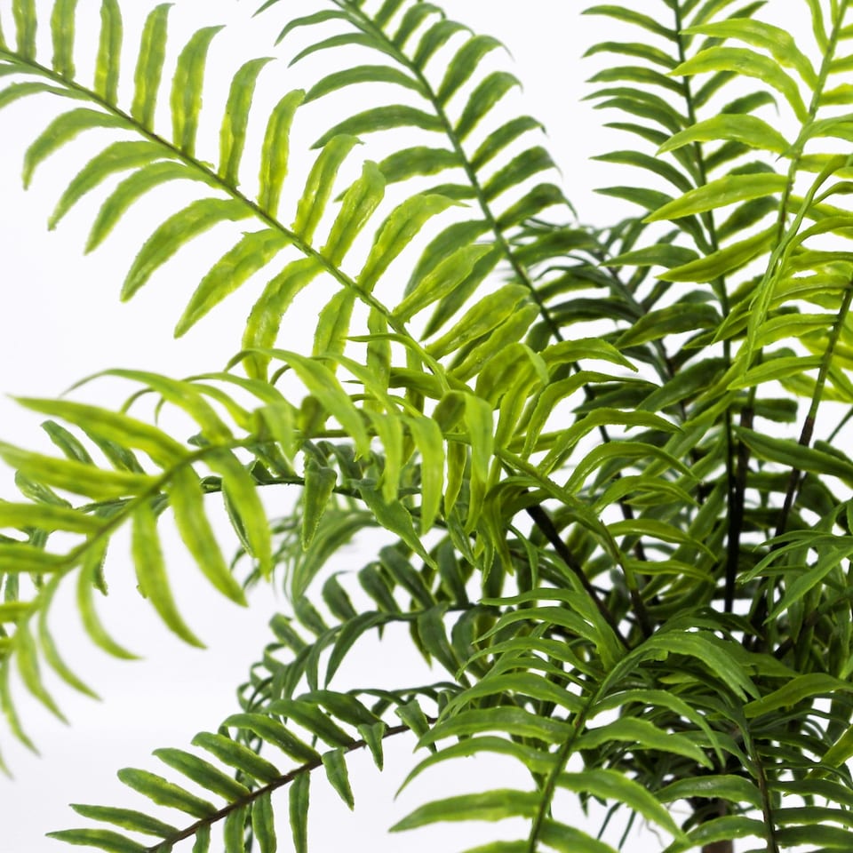 image 1 of 50cm Artificial Boston Fronded Fern Plant
