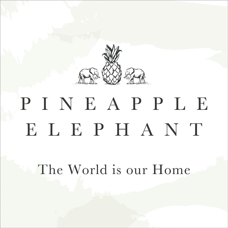 image 1 of Pineapple Elephant Izmir White Tab Top Voile White | 55x54"