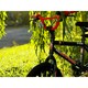 image 2 of XN Urban Shark 16In Kids BMX Bike - Black/Red
