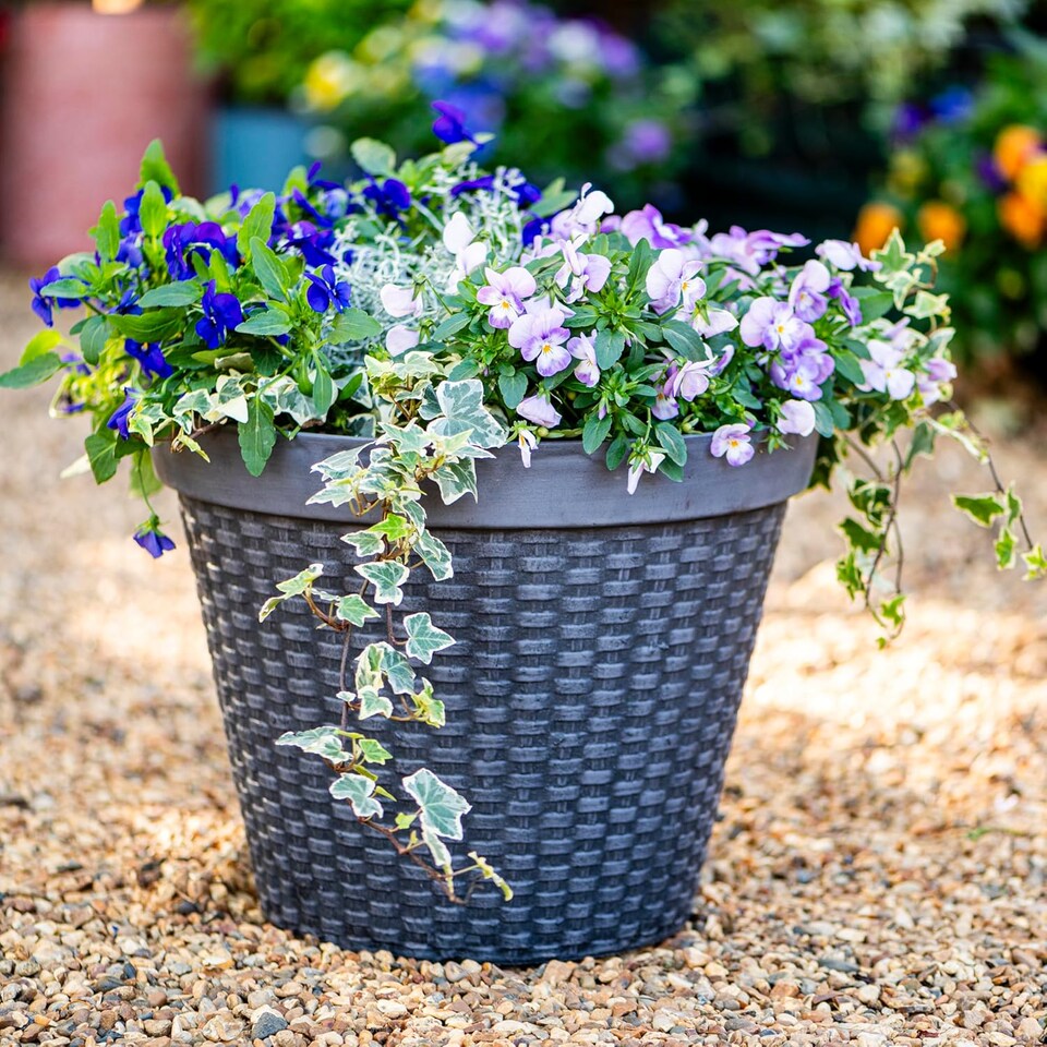 image 1 of Wicker Design Planter (D40 x H30cm) x 2 | Grey | 2