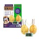image 1 of Funtime Potato Clock