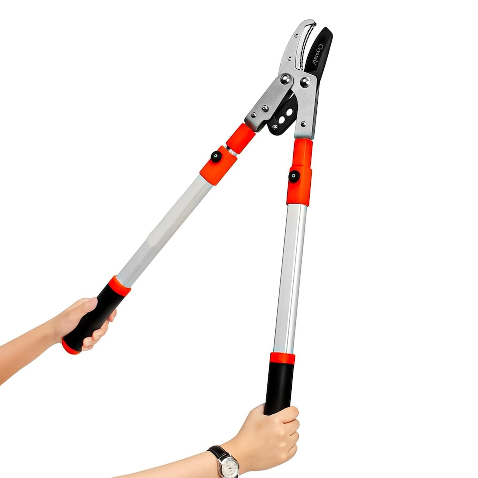 image 1 of Telescopic Anvil Lopper 28'' to 40'' Extending Tree Branch Pruner for Gardening