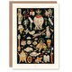 image 1 of Albert Racine Art Card Chinese Ornamental Objects