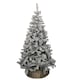 image 1 of Kaemingk 8ft (240cm) Flocked Snowy Imperial Pine Hinged Christmas Trees