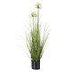 image 2 of Hill Interiors Agapanthus Plant Pot - White/Green - One Size