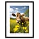 image 1 of Buttercups and Cow Meadow Flowers Countryside 9x7" Black Framed Wall Art Print