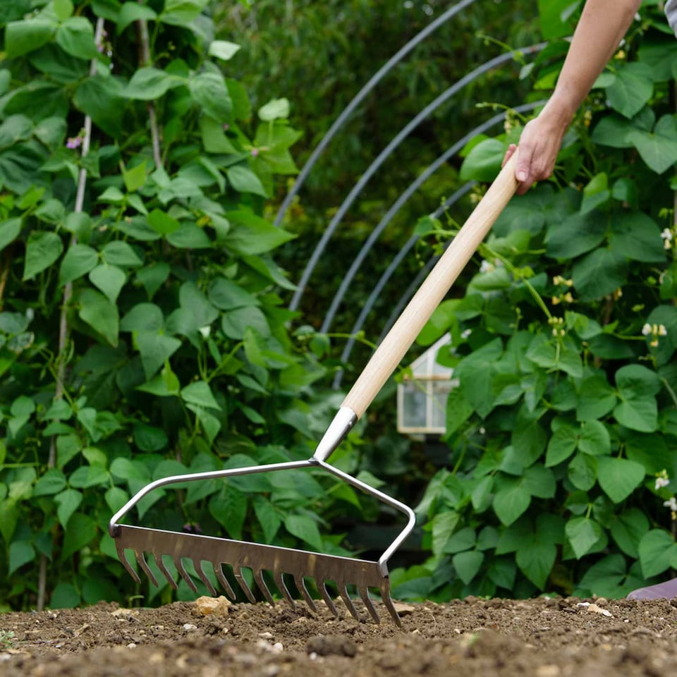 image 1 of Kent & Stowe Stainless Steel Long Handled Soil Rake | Multi | 1 x Soil Rake
