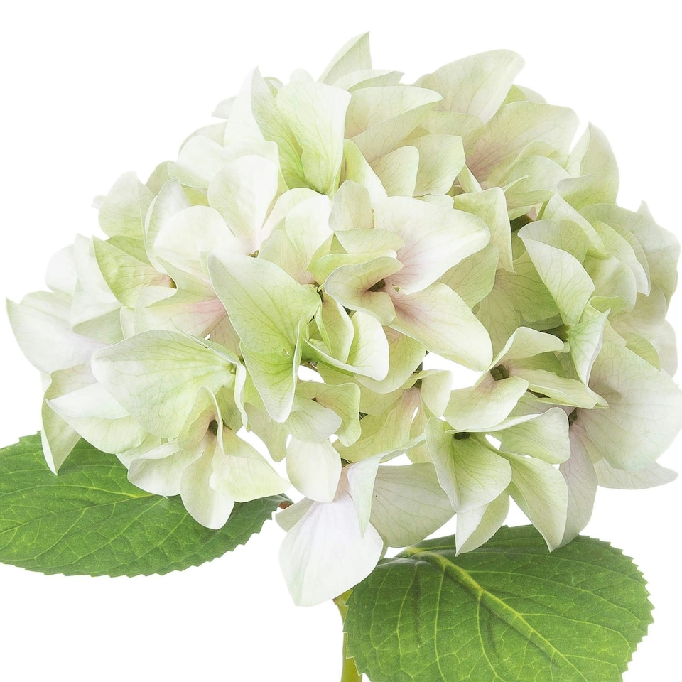 image 1 of Hill Interiors Shabby Hydrangea Artificial Flower - Green - One Size