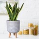 image 10 of Geometric Patterned White Cylinder Planter on Legs, Round Pot Plant Indoor D21 H34 cm, 9.1 ltrs Cap.